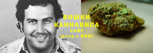 мет Дмитров