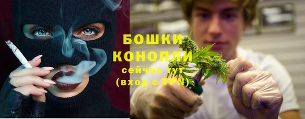 прущий лед Дмитриев