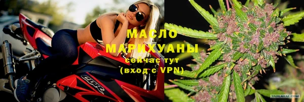 мет Дмитров