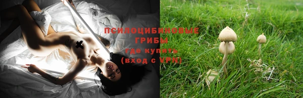 MDMA Premium VHQ Дмитровск