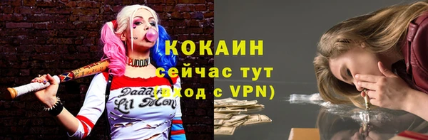 прущий лед Дмитриев