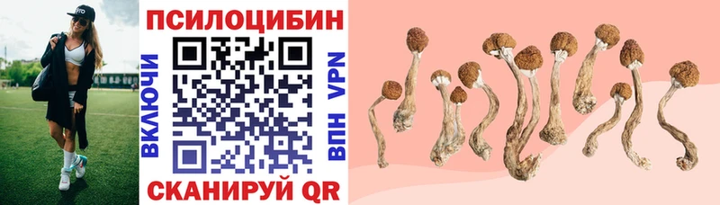 Купить закладки  Инта  Галлюциногенные грибы Psilocybine cubensis 
